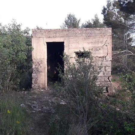 Estudios Casa Lola De شقة Talarn