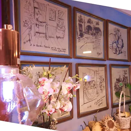 Estudios Casa Lola De *